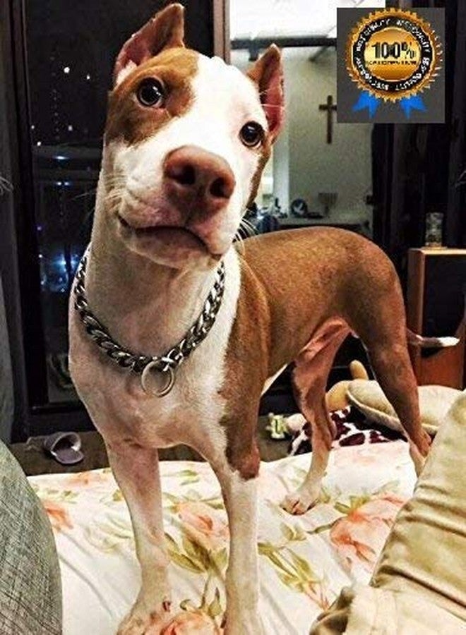 KittuPet Chrome Plated Stainless Steal Choke Chain Dog Training Collar (Diamond Cut 8 No., 18 Inch) - Image 2